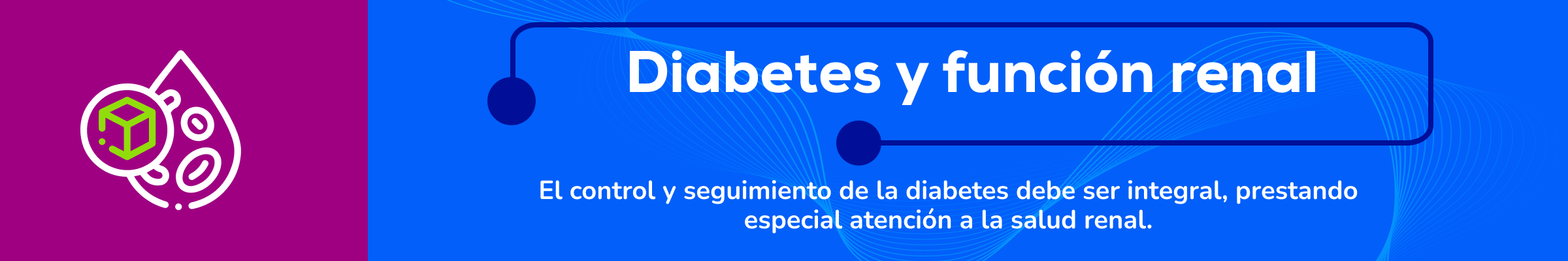 Diabetes y función renal