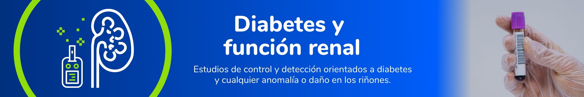 Diabetes y función renal